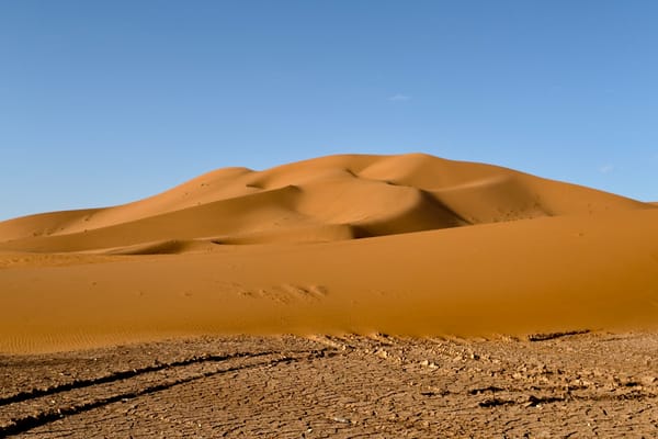 A New Continent at Thirty: Notes from a Moroccan Birding Trip